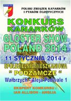 Gloster Show Poland 2014